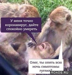 CA9BA630-C227-4D73-903C-A11ACB539509.jpeg