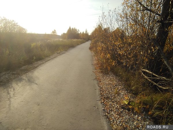 IMG_20201014_152416.jpg